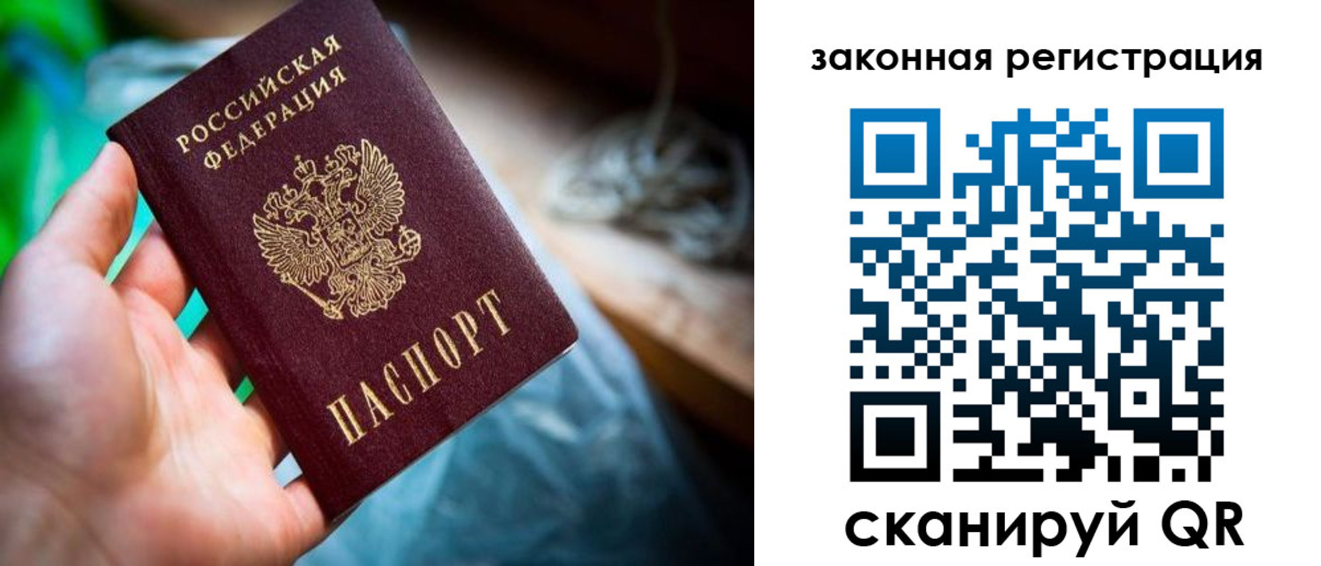 прописка в Карачеве